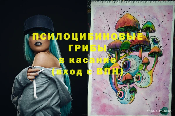 соль ск Балахна