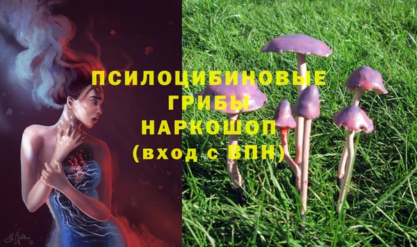 соль ск Балахна
