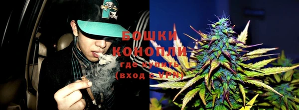 ешки Новокубанск