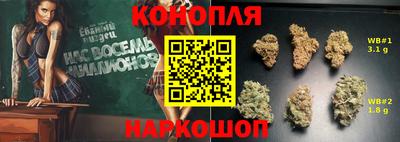 прущие грибы Краснодар