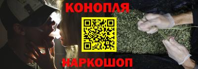 прущие грибы Краснодар