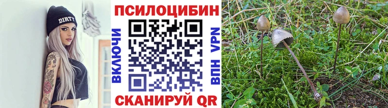 МЕГА ССЫЛКА  Каспийск  Псилоцибиновые грибы Magic Shrooms 