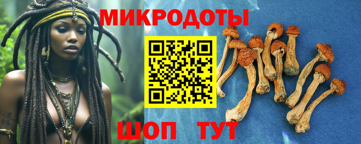 Галлюциногенные грибы Psilocybine cubensis  Вход с VPN  Псилоцибиновые грибы Psilocybe  Каспийск 
