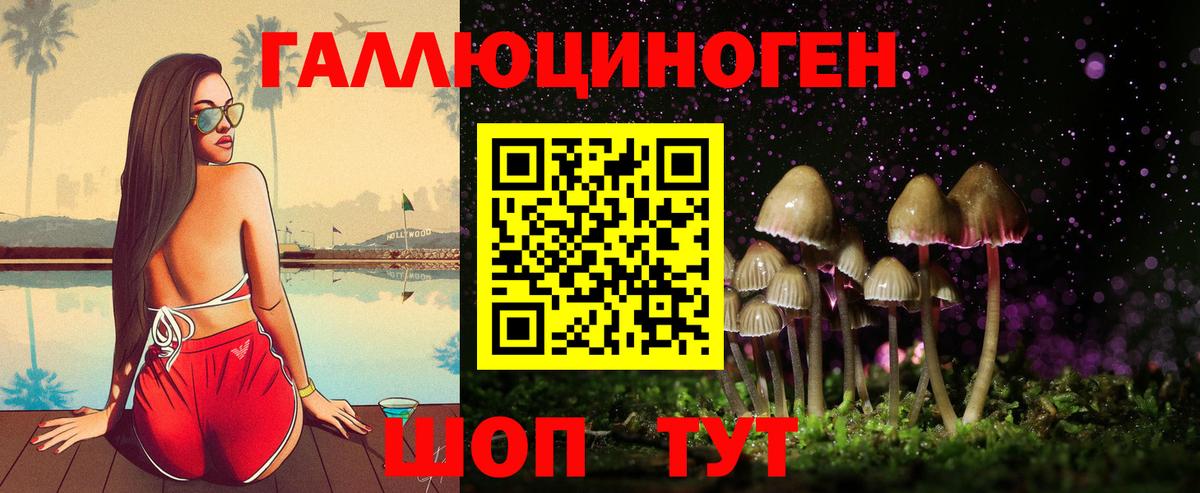 Псилоцибиновые грибы Cubensis Каспийск